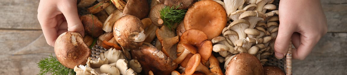 Top 5 Mushroom Supplements